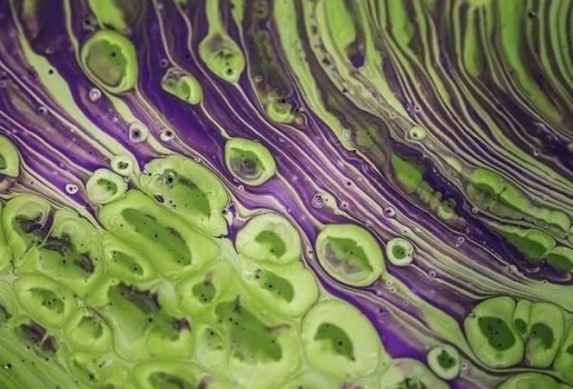 肝細(xì)胞癌生物標(biāo)志物檢測(cè)及應(yīng)用專家共識(shí)