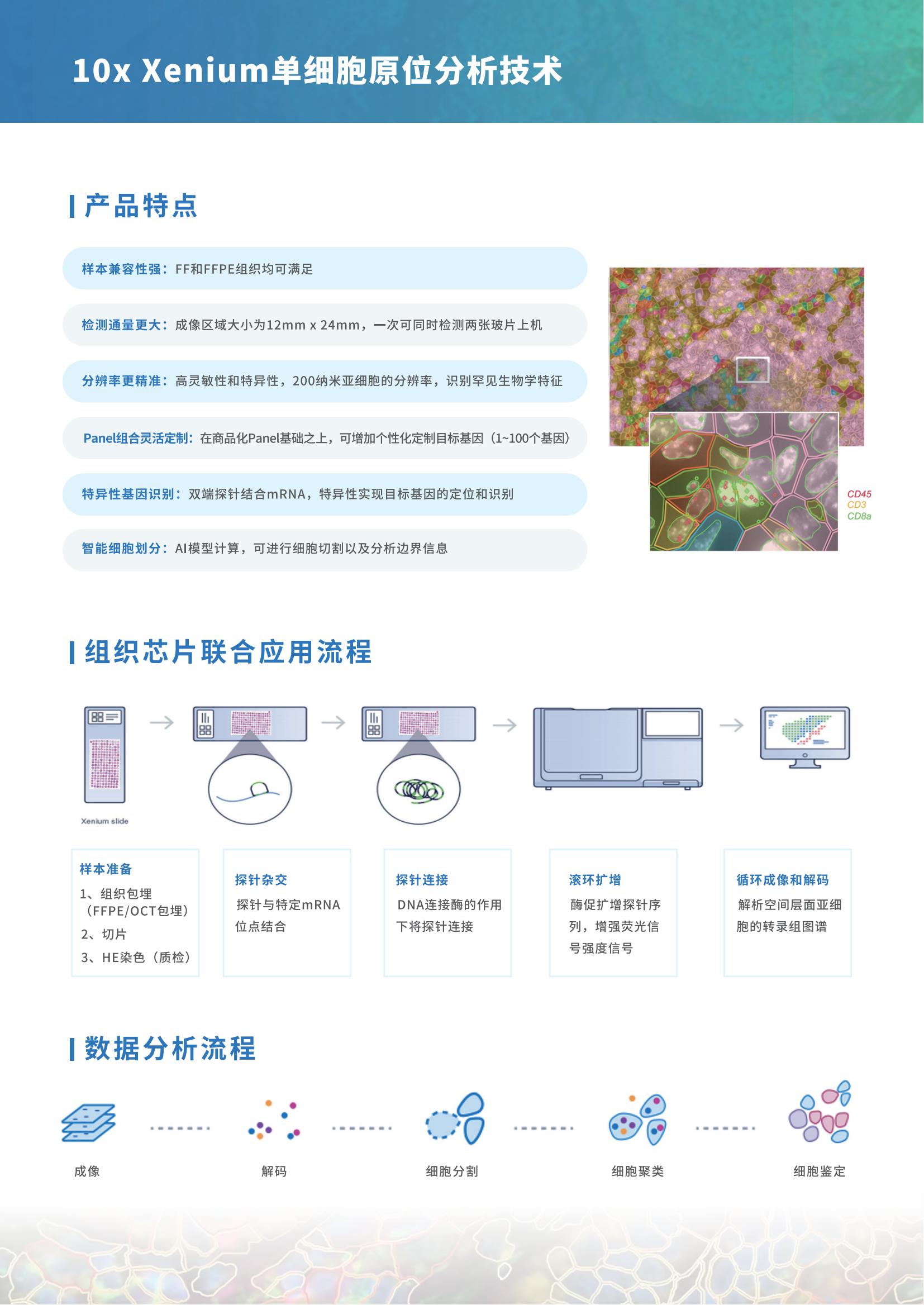 “芯”空一号-彩页-draft_12-Xenium