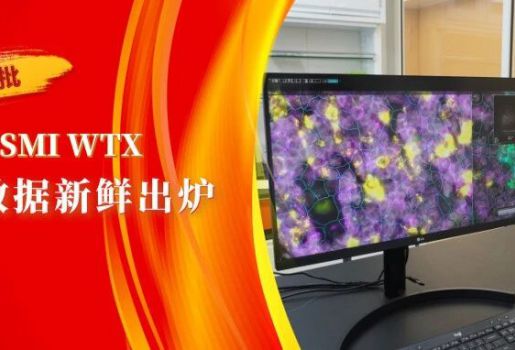 芯空一號Update | 國內(nèi)首批CosMx SMI WTX實測數(shù)據(jù)新鮮出爐